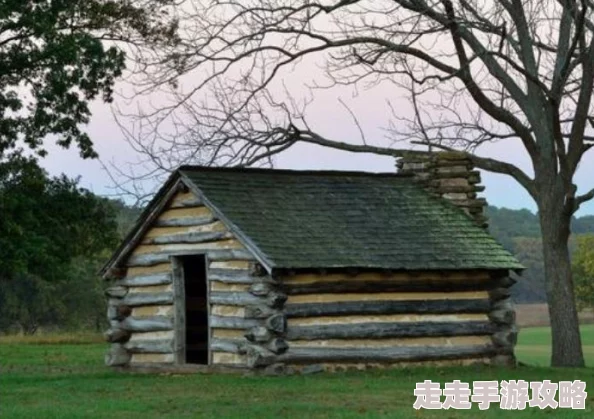 原始传奇道士7技能升级攻略：揭秘哪个技能应优先提升？